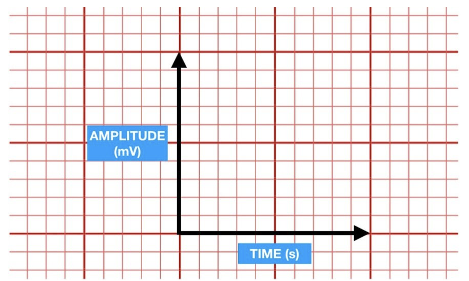 <p>Each of these boxes represents seconds and amplitude.</p><p>By counting the # of boxes, you can calculate how long it takes for each phase of heart conduction to occur and how strong the heart’s electrical current is.  </p><ul><li><p>Graph: Millivolts (vertically)</p></li><li><p>Seconds (horizontally)</p></li></ul><p></p><p>* As a nurse, what will be important to you is measuring the seconds it takes for heart conduction to occur because that’s how you identify whether your patient has a regular or irregular heart rhythm. </p><p></p>