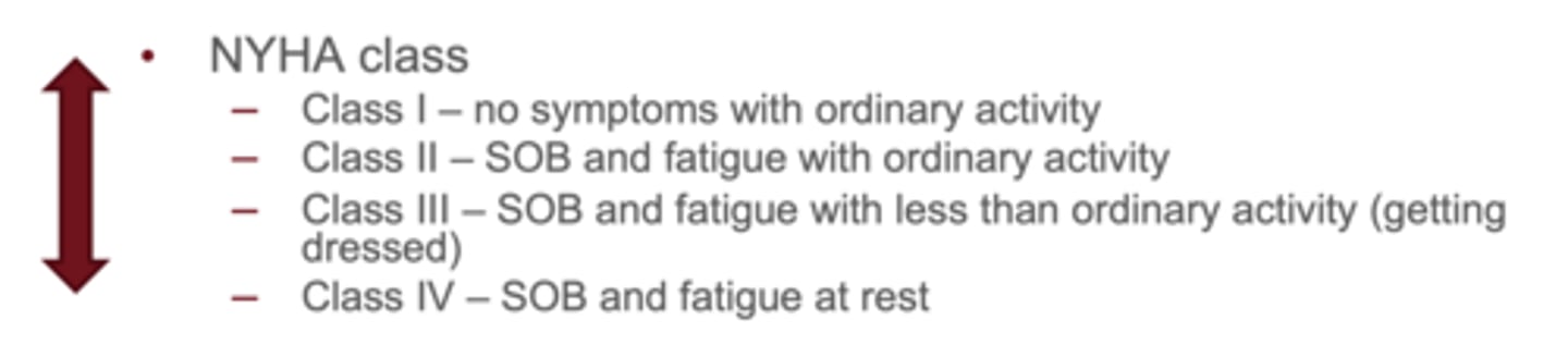 <p>NYHA fluctuates with symptoms; ACC/AHA is permanent once criteria met</p>