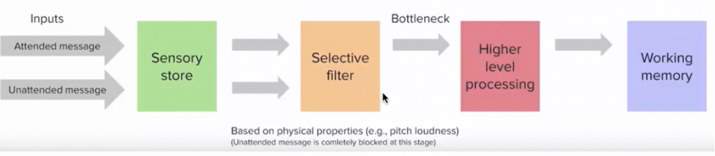 <p>Sensory features of all speech sources are processed in parallel and stored briefly in sensory store - echoic memory </p><p>A selective filter is directed to only one source at a time, this is early in processing </p><p>Information that passes through the filter achieves higher level processing (recognition, activation) </p>