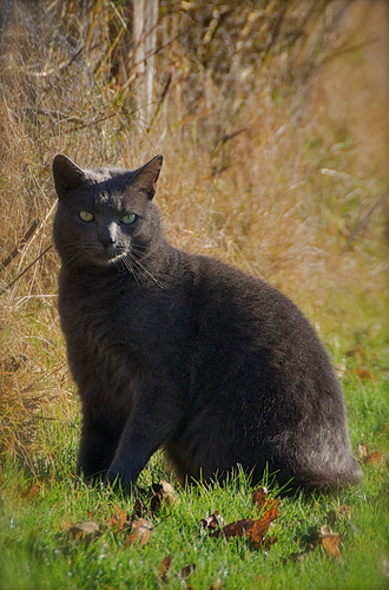 <p>khó nắm bắt, khó xác định</p>