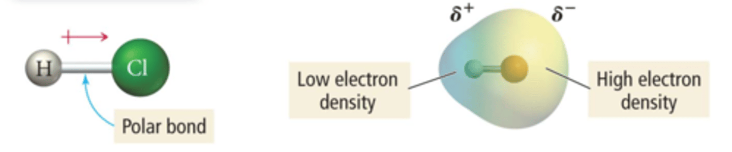 <p>electron density representation/ distribution; increased electron density, more likely site of reaction with lower electron density region</p>