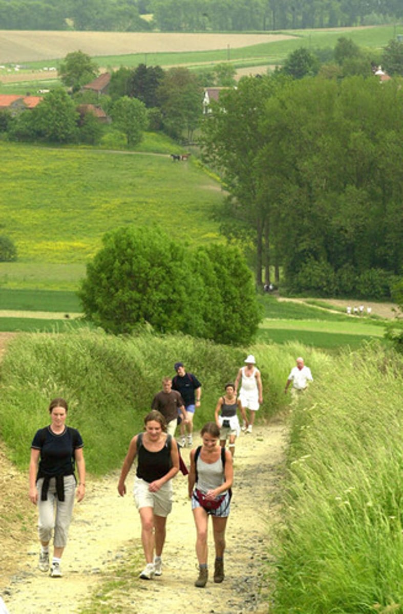 <p>se promener, se balader</p>