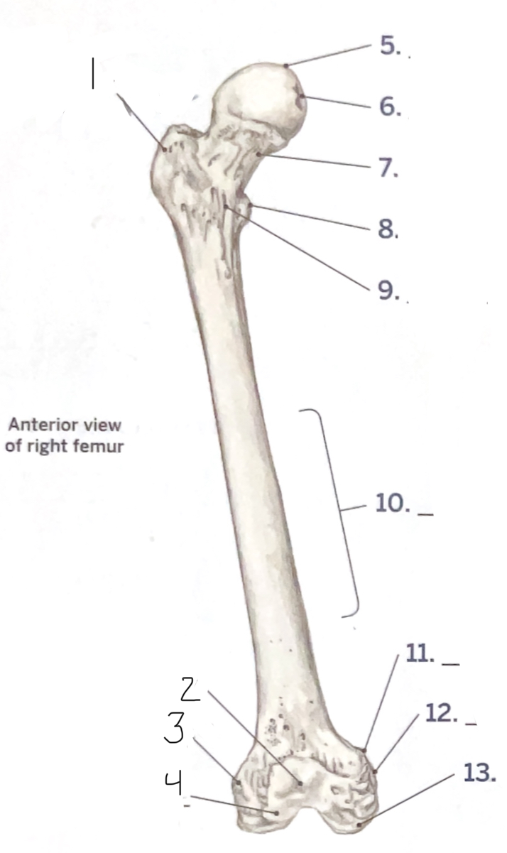<p>1</p>