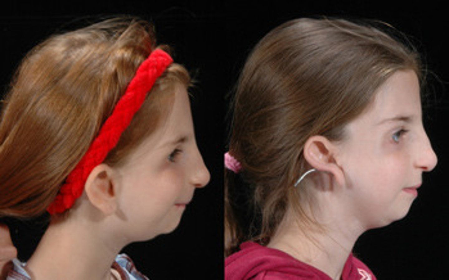 <p>newly evolved features that developed from primitive</p>