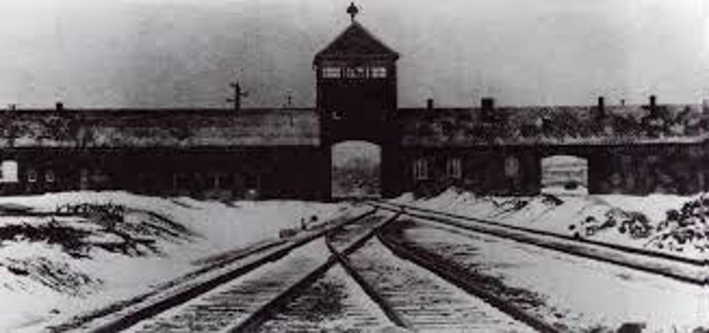 <p>facilities where the Nazis detained, exploited, and murdered millions, including Jews, political opponents, Roma, and others.</p>
