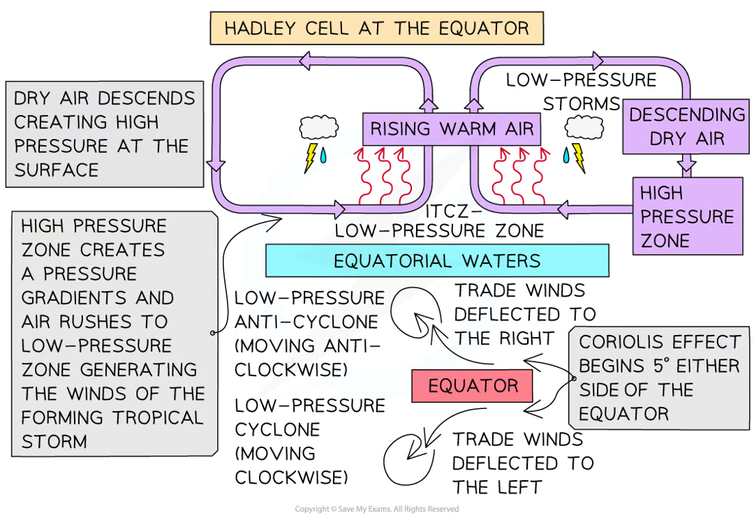 <ul><li><p>The <mark data-color="green" style="background-color: green; color: inherit">equatorial regions receive intense solar energy </mark>-<mark data-color="green" style="background-color: green; color: inherit"> raising ocean temps</mark></p></li><li><p>This <mark data-color="green" style="background-color: green; color: inherit">warm, moist air rises</mark>, leading to an<mark data-color="green" style="background-color: green; color: inherit"> intense low-pressure zone</mark> between the 2 Hadley cells called the <mark data-color="green" style="background-color: green; color: inherit">Intertropical Convergence zone</mark> (ITCZ)</p></li><li><p>This<mark data-color="green" style="background-color: green; color: inherit"> generates thunderstorms, strong winds &amp; intense rainfal</mark>l at the surface</p></li><li><p><mark data-color="green" style="background-color: green; color: inherit">Dry air descends </mark>creating a <mark data-color="green" style="background-color: green; color: inherit">high-pressure zone at the surface</mark></p></li><li><p>This<mark data-color="green" style="background-color: green; color: inherit"> generates pressure gradient</mark>s &amp;<mark data-color="green" style="background-color: green; color: inherit"> air rushes to the low pressure zone g</mark>enerating the <mark data-color="green" style="background-color: green; color: inherit">winds of the forming tropical storm</mark></p></li></ul><p></p>