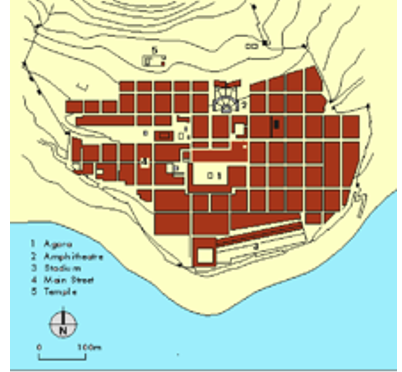 term image