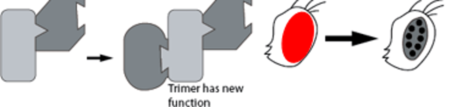 <p>New activity is acquired</p>