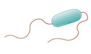 <p>what is this?</p>