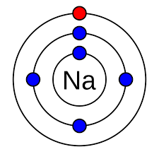<p>The outermost electrons in the valance shell. </p>