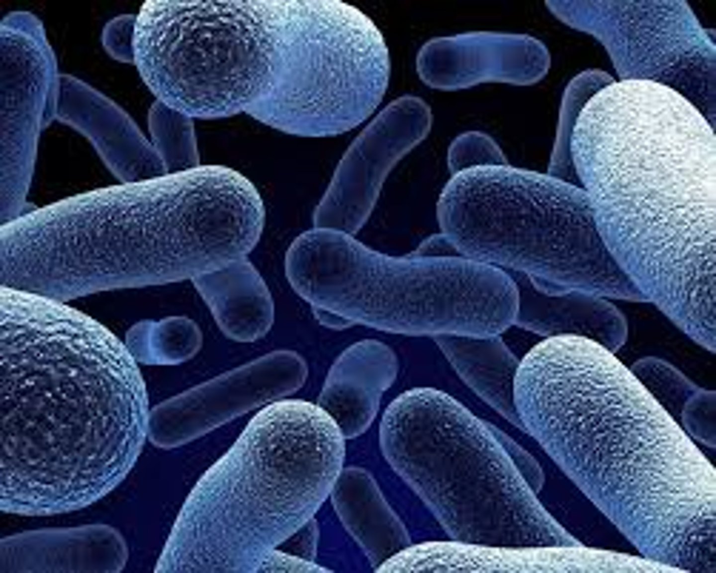 <p>the methods used to eliminate or reduce the transmission of infectious organisms</p>