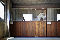 <p><strong>a small closed area within a farm building in which there is space for one animal to be kept</strong></p><p><br></p>