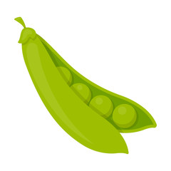 <p>Pea</p>