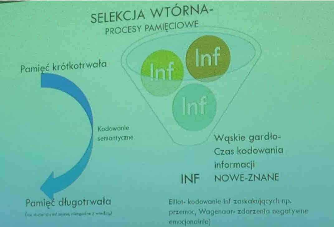 <p>Inf - informacja</p><ul><li><p>Bardziej uprzywilejowana jest nowa informacja -&gt; adaptacyjny cel; przetwarzamy nową informację by nie zginąć/znaleźć nowe źródła pożywienia</p></li><li><p>Nacechowanie emocjonalne -&gt; negatywne konotacje emocjonalne są priorytetowe, aczkolwiek</p></li><li><p>wyjątek: konotacje emocjonalne traumy są przetwarzane wolniej ale są lepiej pamiętane</p></li></ul>