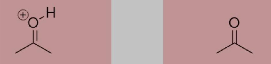 <p>Pronated acetone (<strong><u>Ketone</u></strong>), Acetone</p>