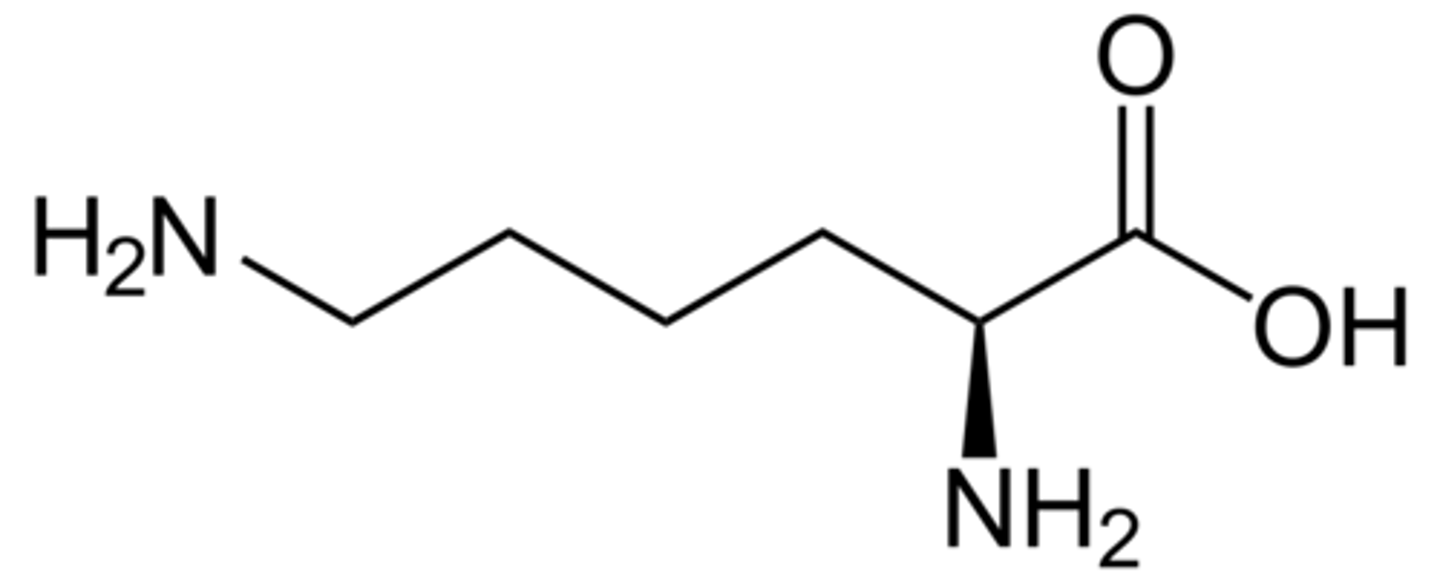 <p>the R group has a pKa of 10.8</p>