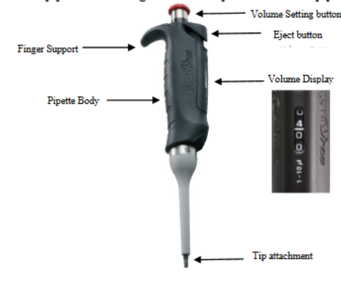 <ul><li><p>plunger - topmost part of the micropipette which is used to expel and take up the desired amount of liquid into micropipette tip</p></li><li><p>eject button - used to eject the tip from the micropipette without touching the micropipette tip.</p></li><li><p>volume display window - adjusted volume is shown</p></li><li><p>tip attachment - where tips attach</p></li></ul><p></p>