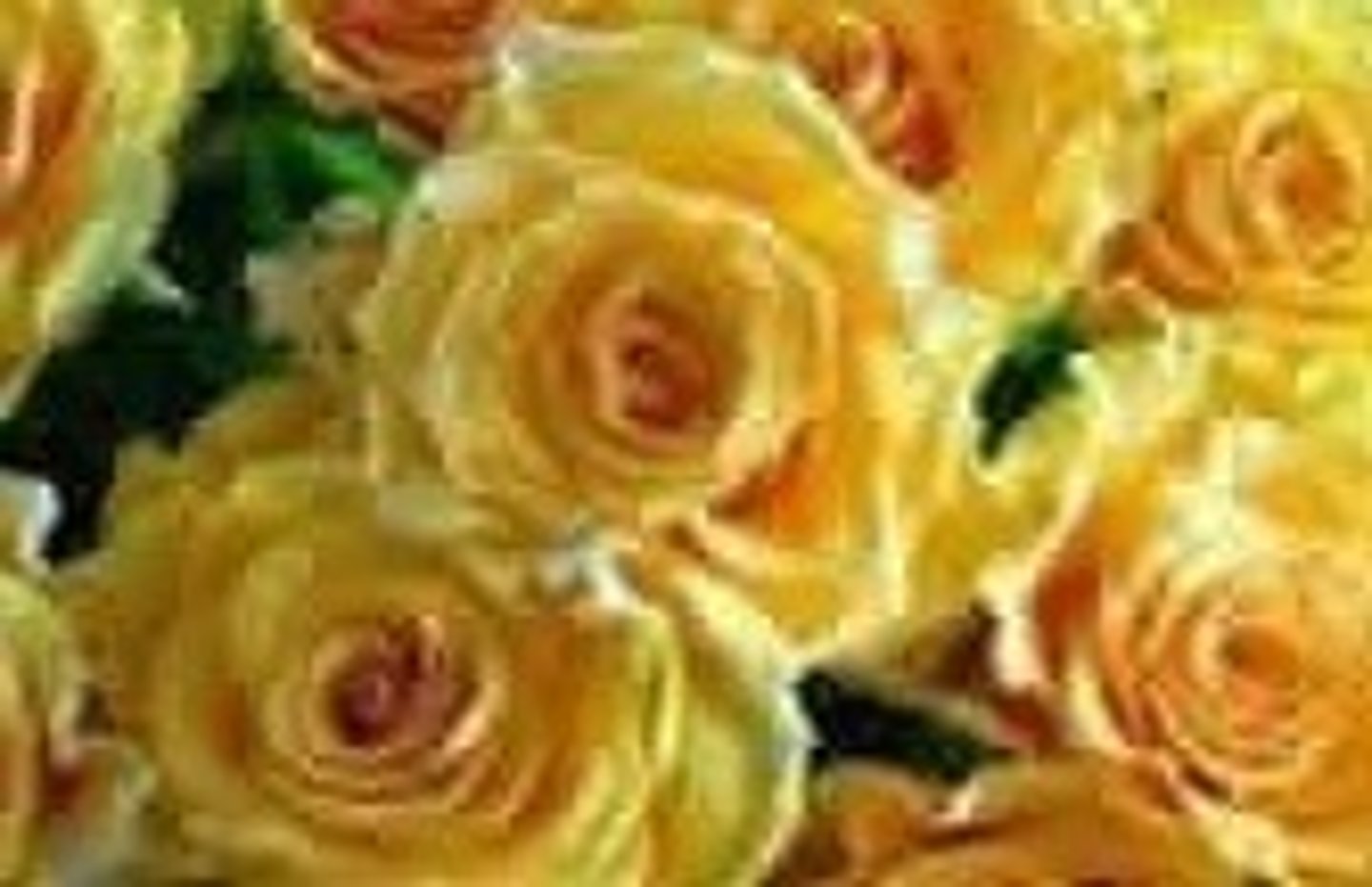 <p>COMO SÃO AS ROSAS? ELAS SÃO AMARELAS.</p>