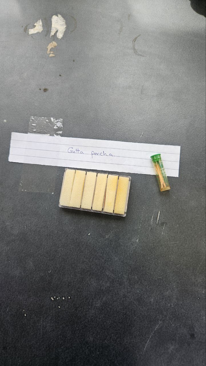 <p>Gatta percha</p>