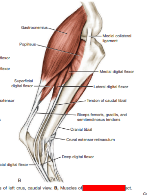 <p>What view is this? </p>
