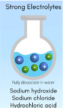 <p>Strong Electrolytes</p>