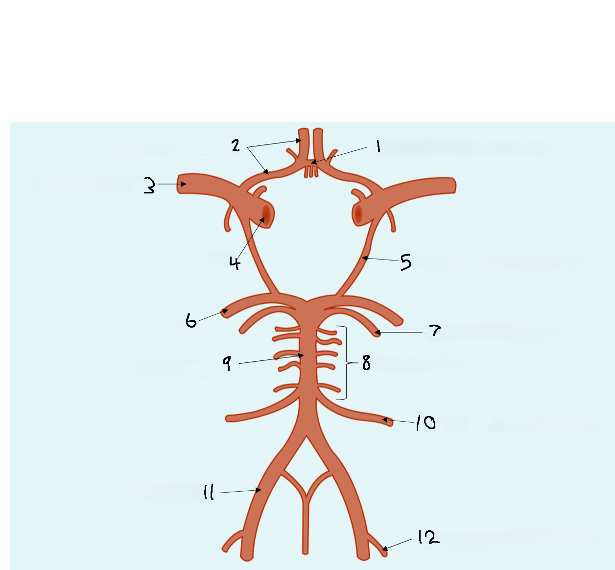 <p>What is 10?</p>