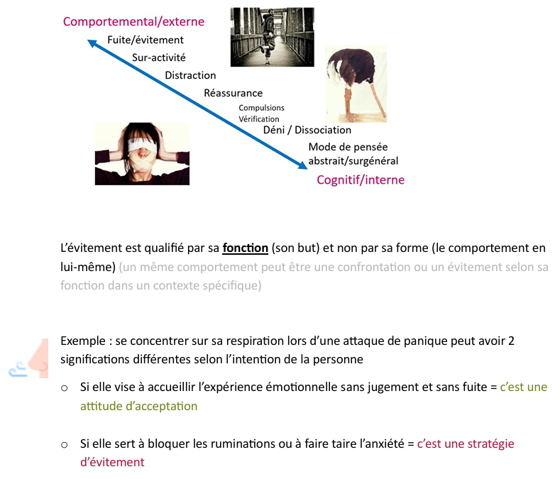 <p>L’évitement émotionnel peut être :  </p><p></p><p>1) <strong>Comportemental / externe</strong> → agir pour ne pas ressentir l’émotion</p><p>Exemples :</p><p>Fuite → ne pas aller dans une situation anxiogène</p><p>Sur-activité → se remplir d’activités pour ne pas penser ou ressentir</p><p>Distraction → regarder des séries, jouer, manger… pour détourner l’attention</p><p>Recherche de réassurance → demander constamment aux autres que tout va bien</p><p>Compulsions / vérifications → faire des actions répétées pour diminuer l’anxiété</p><p></p><p>2) <strong>Cognitif / interne</strong> → éviter l’émotion dans ses pensées</p><p>Exemples :</p><p>Déni → refuser de reconnaître une réalité difficile</p><p>Dissociation → se couper de ses émotions ou de la situation</p><p>Pensée abstraite ou surgénérale → rester dans l’analyse générale pour éviter de ressentir</p><p></p>