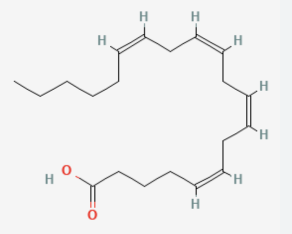 <p>20 carbons, 4 double bonds at carbons 5, 8, 11, and 14</p><p>polyunsaturated fatty acid</p><p>all-cis-∆5,∆8,∆11,∆14-eicosatetraenoate</p>