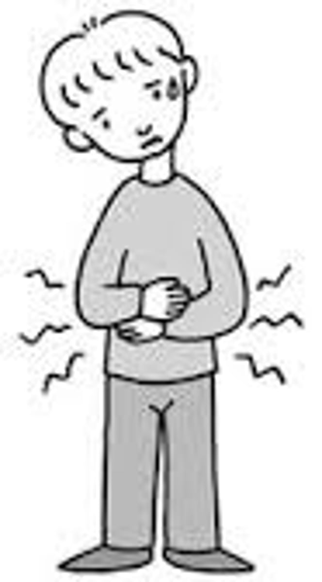 <p>I have a stomach ache/My stomach hurts me</p>