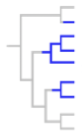 <p>this is a — group</p>