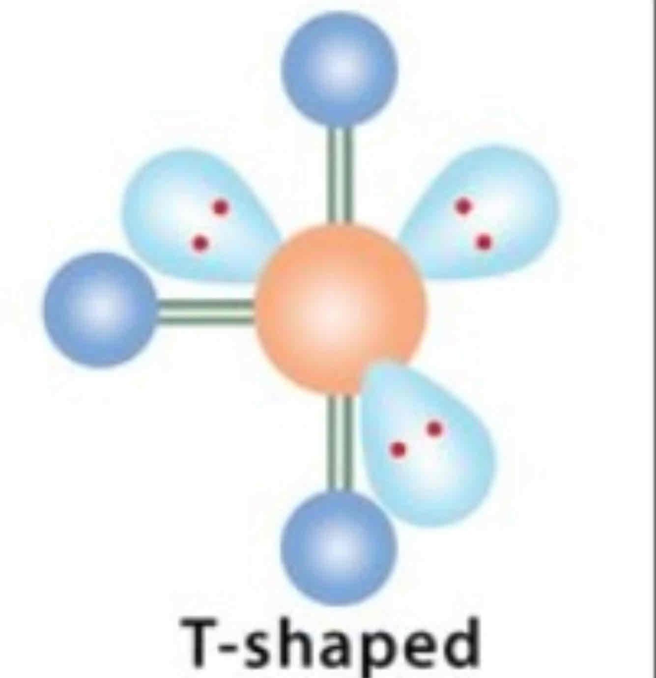 <ul><li><p>EDG: Octahedral</p></li><li><p>MG: T-shaped</p></li></ul>