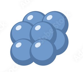 <p>Cells packed together like a “package”</p>