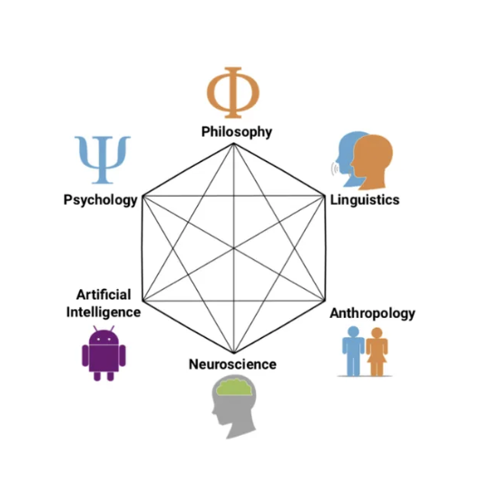 <p>Cognitive Science is the scientific <strong>interdisciplinary</strong> study of the mind</p><ul><li><p>Cognitive Scientists view the mind as an information processor that represents and transforms information</p></li></ul><ol><li><p>psychology</p></li><li><p>philosophy</p></li><li><p>linguistics</p></li><li><p>anthropology</p></li><li><p>artificial intelligence</p></li></ol><p></p>