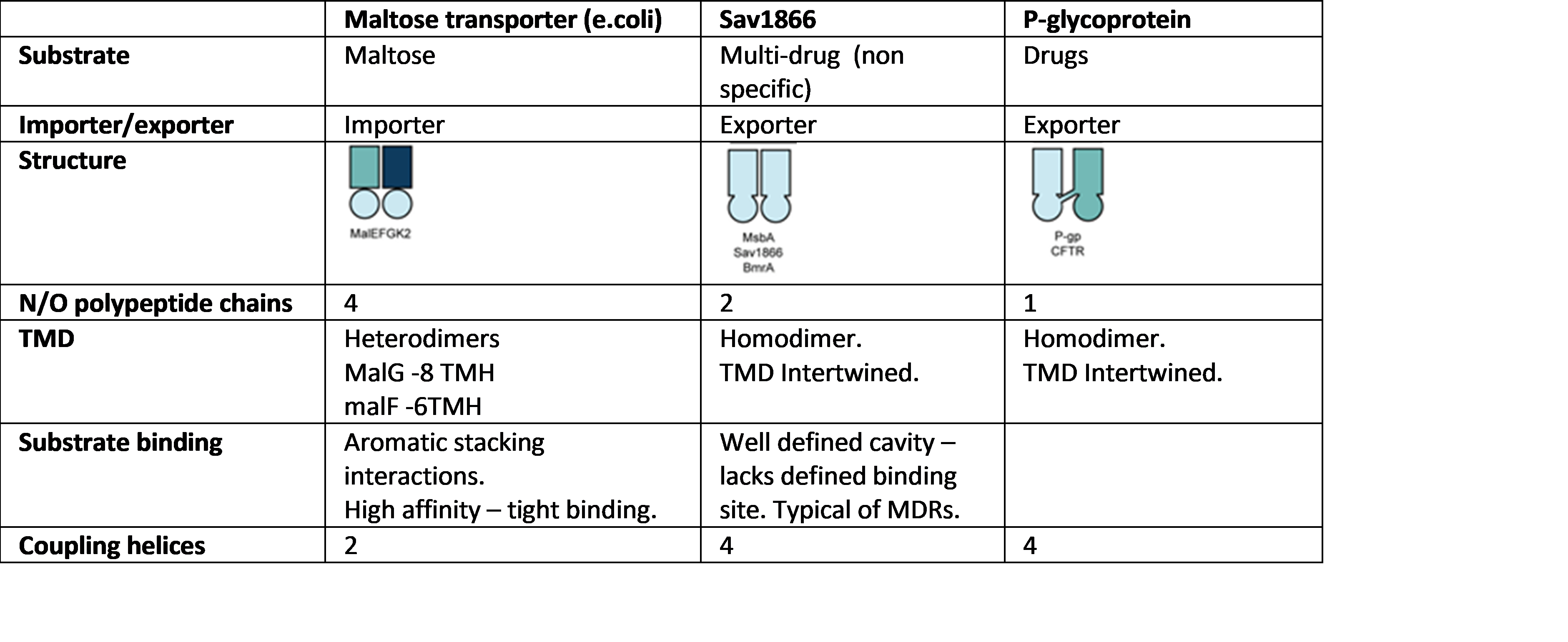 primary active transporters. 

·  Superfamily

· Can be importers or exporters.

·  2 NBD – similar across all ABC transporters.

NBD forms ATP sandwich in closed conformation.

 ATPase Subdomain contains walker A & B motifs – hydrolyse ATP.   

·  2 TMD – subunits normally separate in prokaryotes and fused in higher organisms.

TMD forms cavity where molecule sits.

· bacterial Importers will have soluble substrate binding proteins.

·  Coupling helices  - helix held by salt bridge interactions in cavity (like ball in socket joint.) communicate structural changes in NBD due to binding of nucleotide to TBD.  Helix swivels within cavity – rotates TBD to give large movement. Coincides with opening and closing of NBD interface. Couples ATP hydrolysis to transport.