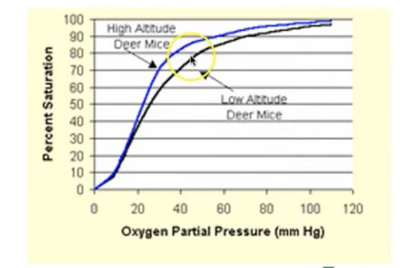<p>What does a leftward shift of the Oxyhemoglobin curve signify?</p>