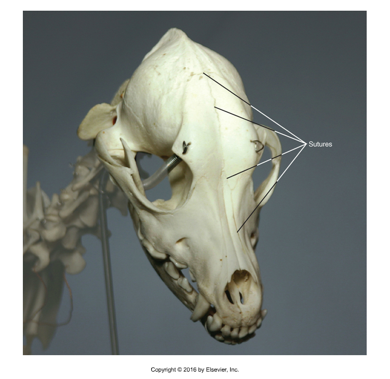 <p>Type of Joint?</p>