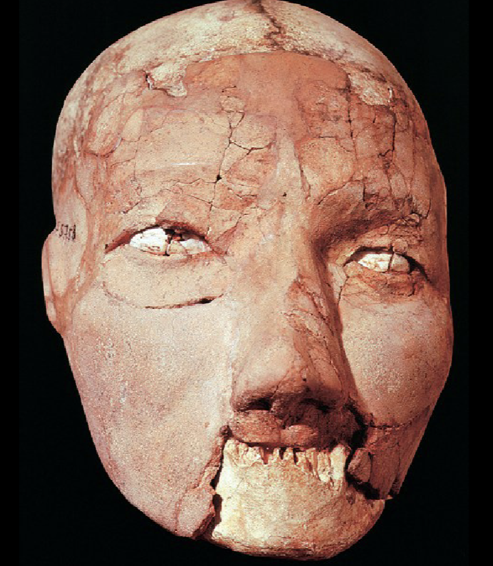 <p>Artist/people/culture</p>