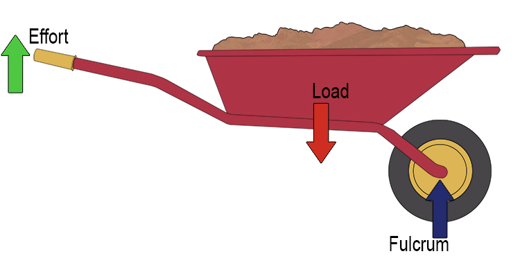 <p>2nd Class Levers:</p>