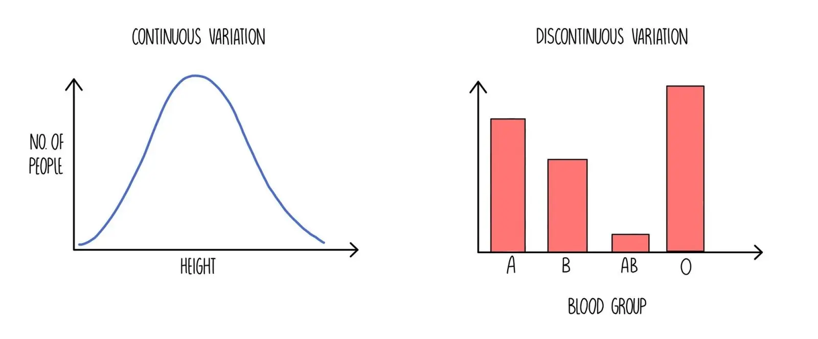 <p><strong>Continuous</strong></p><p>-a variation that gradually changes across a spectrum, with no distinct categories (Height, weight, arm span, leaf length, skin color) <u>environment shapes the final trait</u></p><p><strong>Discontinuous</strong></p><p>-a variation that has distinct categories with no in between (<span><span>Blood groups (A, B, AB, O), tongue rolling, flower color, seed shape)</span></span></p><p></p><p><u>think "range" for continuous and "categories" for discontinuous</u></p>