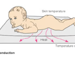 <p><span>heat is transferred through touch</span><br><span>*ex: baby is touching cold surface</span></p>