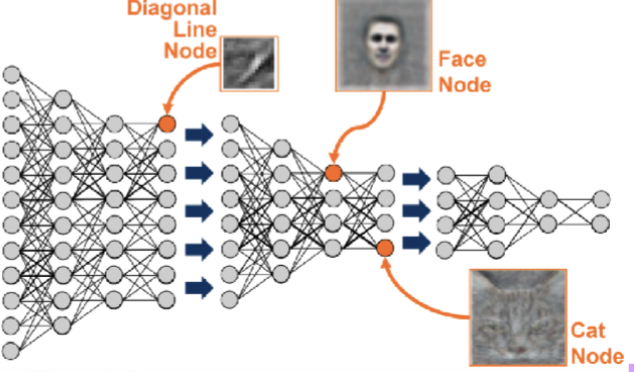 <ul><li><p>a resurrection of the connectionist models due to higher computational power and better training techniques</p></li><li><p>adding more hidden layers increases model’s power in learning abstract complex structures, hence “deep” learning</p></li><li><p>ex. image processing models</p><ul><li><p>certain parts of model becomes specialized for certain features (shape, human vs cat face)</p></li><li><p>model recognizes which features are important</p></li></ul></li></ul><p></p>