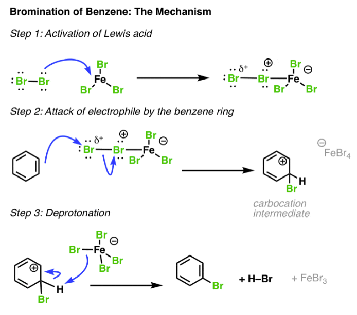 <ul><li><p>electrophilic aromatic substitution</p></li><li><p>adds to aromatic ring on sp<sup>2</sup> carbon</p></li><li><p>other halogens can be used instead of Br (ie: Cl)</p></li></ul><p></p>