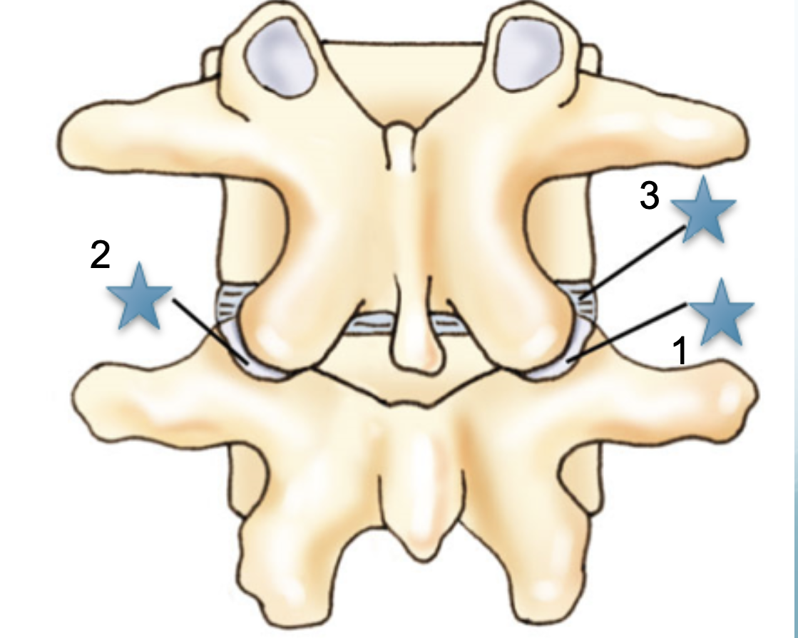 <p>1</p>