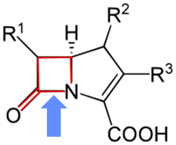 carbapenems 