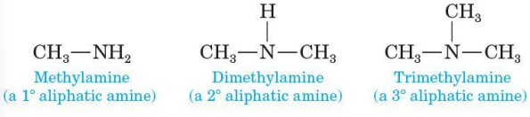 <p>all carbons bonded to nitrogen are derived from alkyl groups</p>