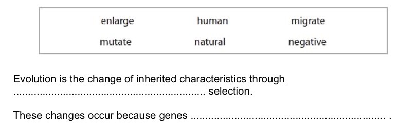 <p>Use words from the box to complete the sentences.</p>