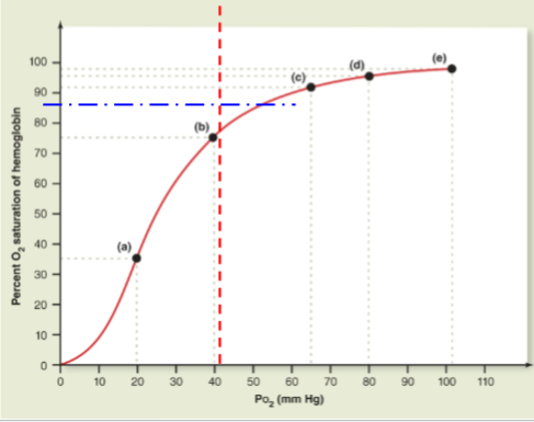 <p>For a given PO2 what percentage of haemoglobin is going to be saturated</p><p>(PaO₂ represents the amount of dissolved O₂ in plasma , not in RBCs. e.g. this would be high in the lungs)</p><p>(Think of PaO₂ as the pressure pushing oxygen into:</p><ul><li><p>Hemoglobin (to bind it),</p></li><li><p>Tissues (to deliver it).)</p></li></ul><p></p>
