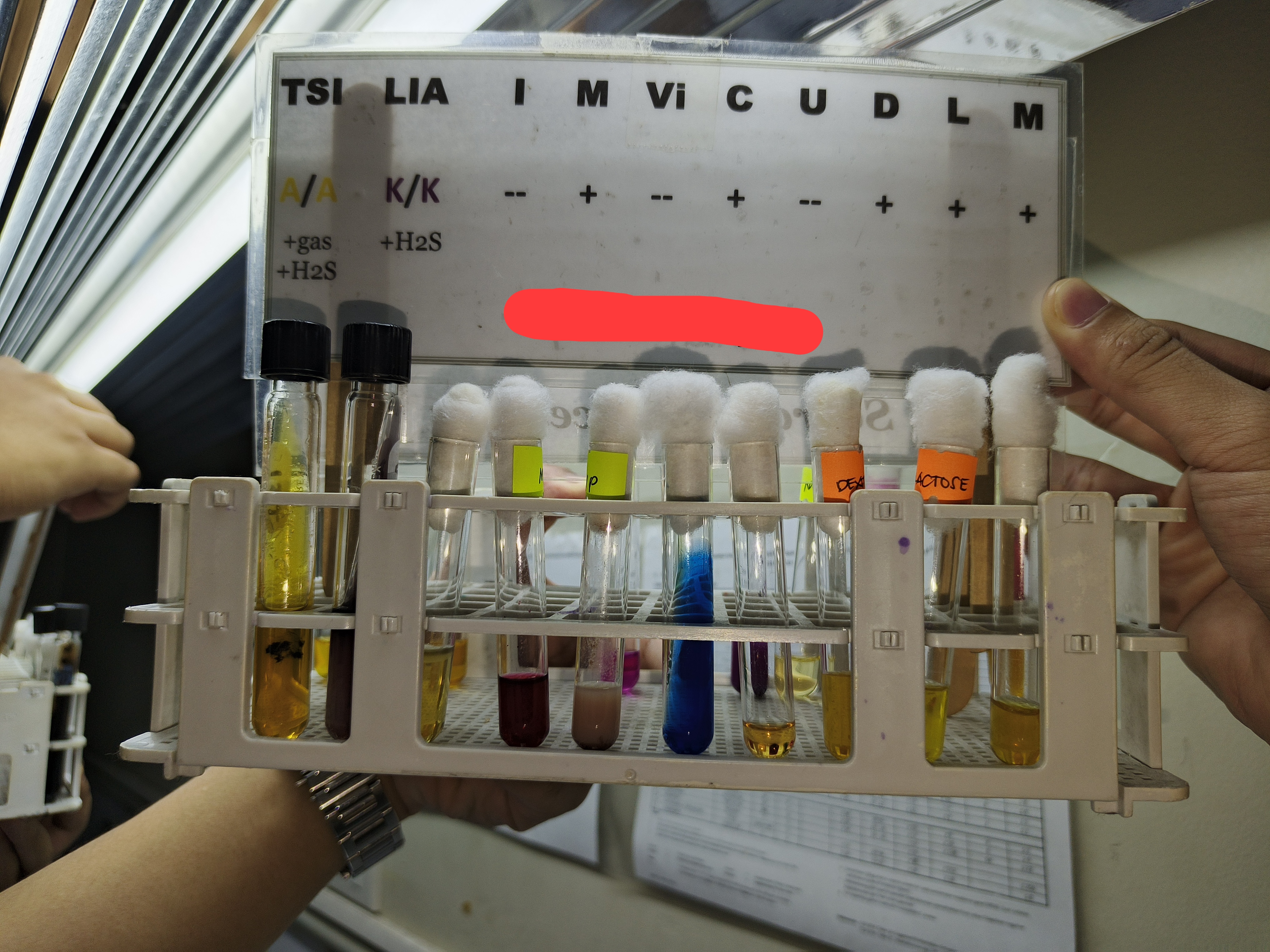 <p>Identify </p>