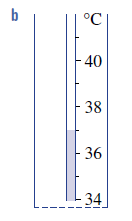 <p>What temperature is indicated on this scale</p>