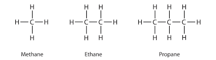 <p>Alkanes</p>